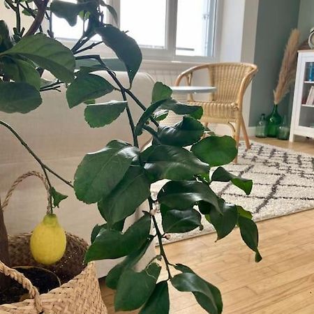 Le Citronnier Apartment Fouesnant Exterior photo